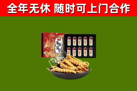 蒲江县回收冬虫夏草价格
